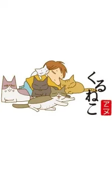Котячі історії