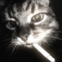 Schedryk