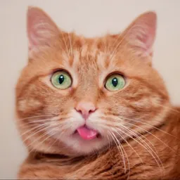 Simbaat